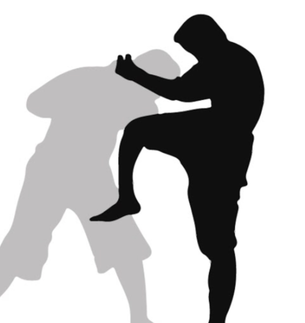 martial arts students bowing and shaking hands.